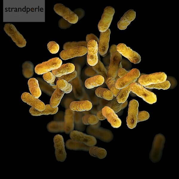 3D illustration of a group of aerobic  gram-negative  Bordetella pertussis bacteria. This artistic recreation is based upon scanning electron microscopic (SEM) imagery