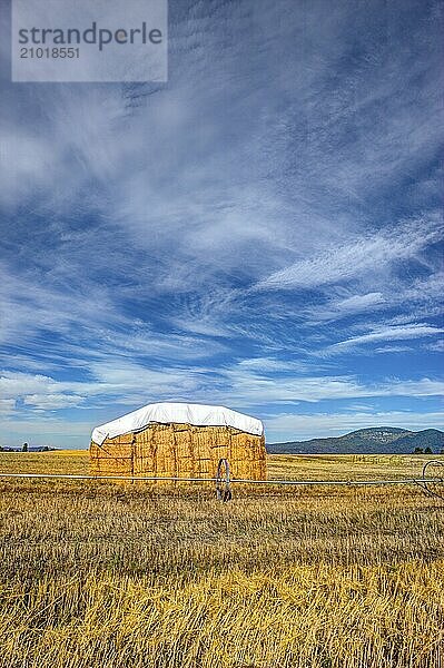 A large haystack in the Rathdrum Prairie under a rich partly cloudy blue sky in North Idaho