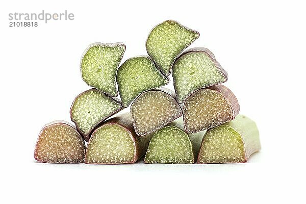 Rhubarb stalks of varying colors from pale green to deep red isolated on white background  illustrate a recipe for a rhubarb-based dish