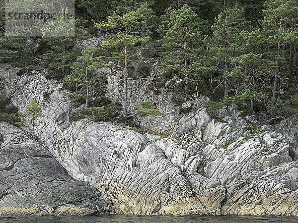 Rugged coastline on the Björnafjord in Norway