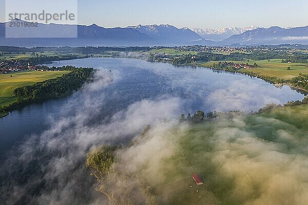 Aerial view of a lake in front of mountains in the morning light  fog  summer  Riegsee  view of Estergebirge  Murnau and Zugspitze  Alpine foothills  Upper Bavaria  Bavaria  Germany  Europe