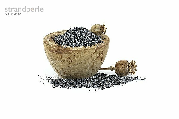 Poppy seeds in wooden bowl and seed pods isolated on white background  full depth of field