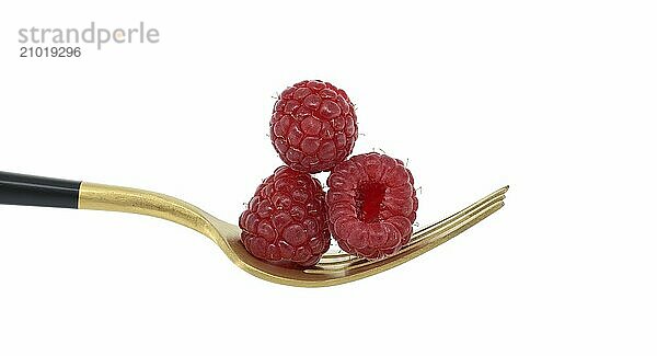 Red raspberries arranged on gold fork with a black handle  set against a white background  symbolizing a concept of healthy diet and organic food