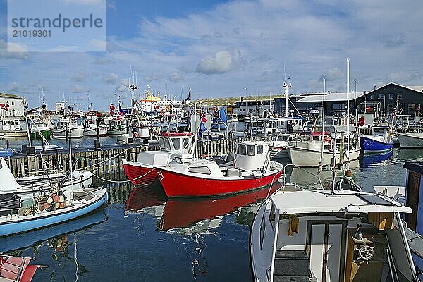 Several fishing boats are moored in the harbour  decorated with red and blue flags  Hirtshals  Jutland  Denmark  Europe