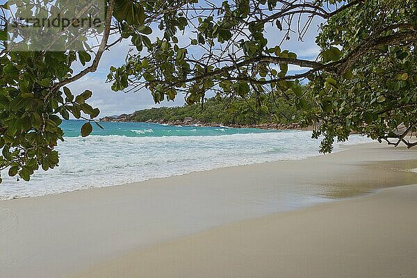 Dream beach in the Seychelles  Dream beach on Seychelles