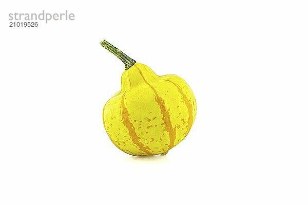 One whole yellow decorative pumpkin isolated on white background