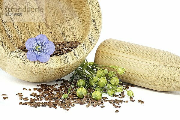 Wooden mortar filled with small brown flax seeds and a blue flax plant flowers alongside linseed fruit round capsules isolated on white background