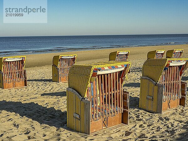 Several beach chairs lined up on the sandy beach with calm sea in the background  egmond aan zee  the netherlands