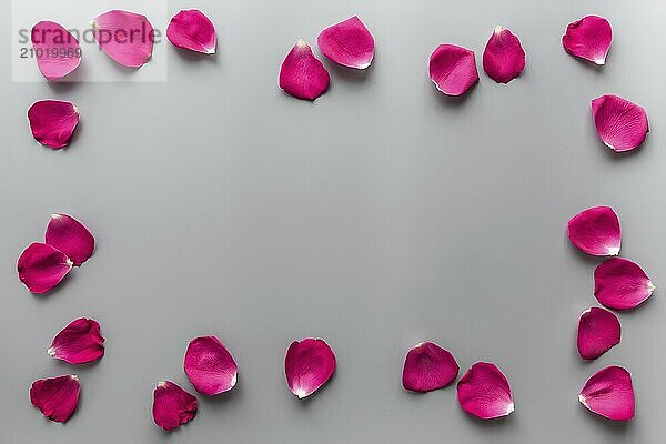 Group of red rose petals on gray background. Mockup for greeting card for valentine  wedding or engagement