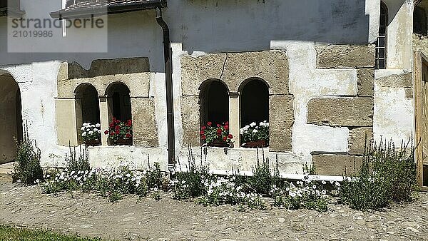 Honigberg fortified church  Transylvania  Romania  Europe