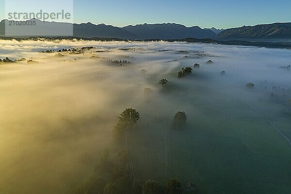 Aerial view of meadows and trees in front of mountains  sunrise  fog  autumn  Murnau  Alpine foothills  Upper Bavaria  Bavaria  Germany  Europe