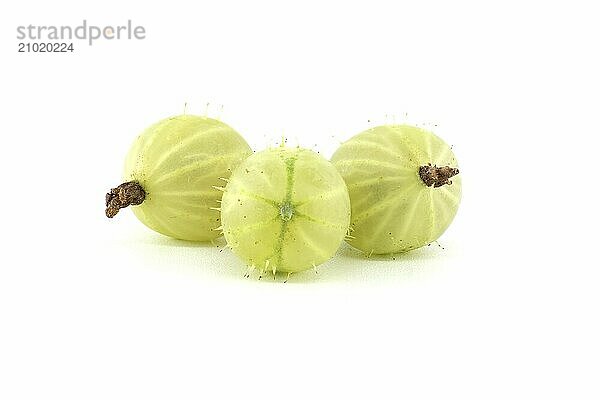 Gooseberry isolated on white background. Heap of fresh ripe gooseberries