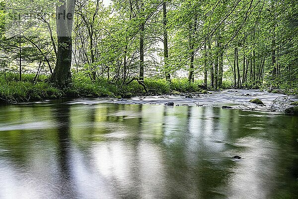 On the Eyach in the northern Black Forest