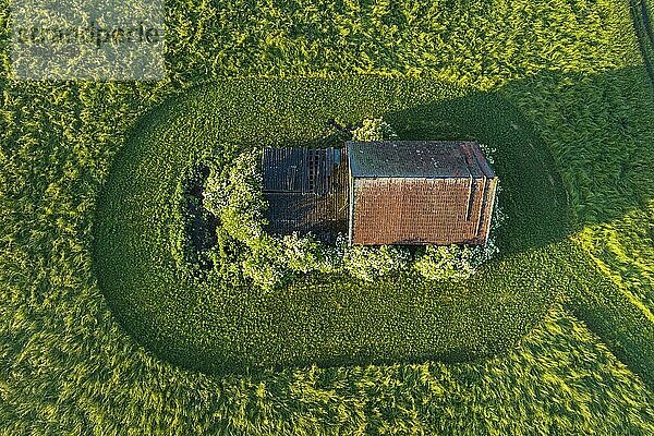 Aerial view of a hut and a mown meadow in the morning light  spring  Alpine foothills  Upper Bavaria  Bavaria  Germany  Europe