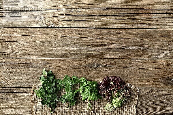 Gardening and healthy eating concept with different herbs and salad leaves  basil  mint  radicchio  parsley and celery on gray background