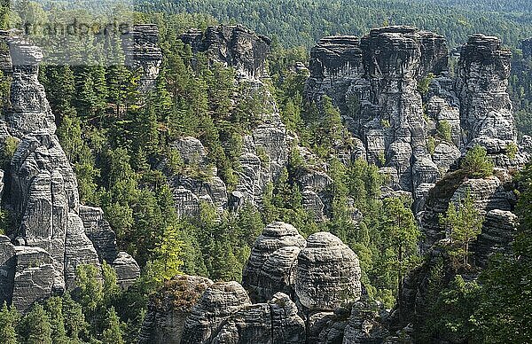 View from the Bastei bridge over the Mardertelle with the Gansfelsen formation on the right  the Plattenstein in the centre and the Wehlnadel on the left