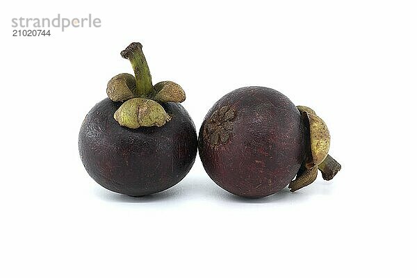 Two whole purple mangosteen fruits isolated on white background  Garcinia mangostana