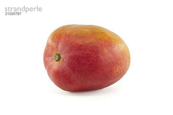 Ripe mango fruit with a blend of red and yellow tones on their skin isolated against a white background