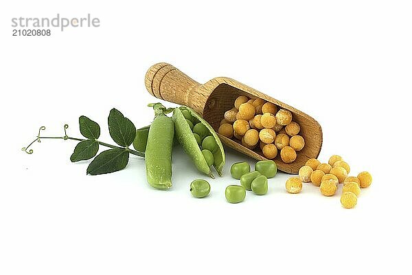 Yellow dried peas in wooden scoop near fresh green peas and pea pods with green leaf isolated on white background