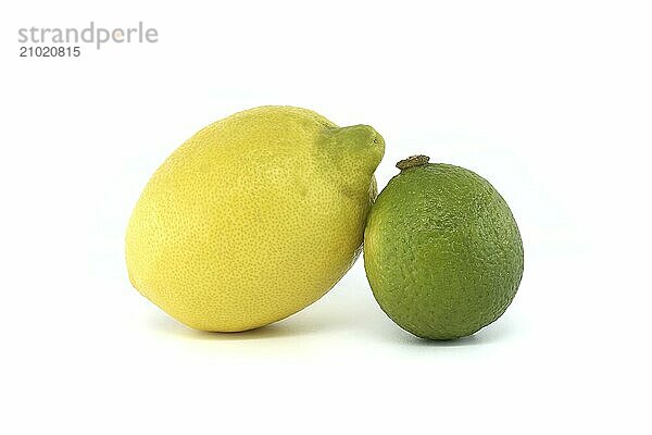 Vibrant yellow lemons and the green lime creating a bright and vivid visual contrast isolated on white background