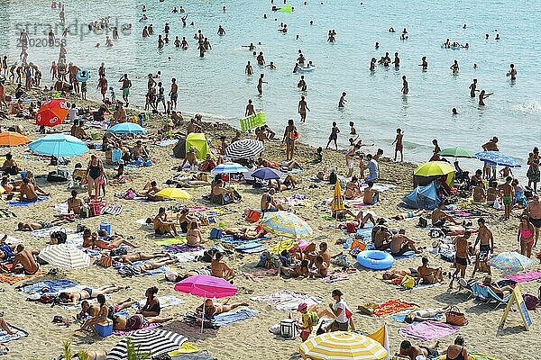 A crowded beach with many people sunbathing and swimming  colorful umbrellas and the sea in the background  Summer  Plage de Sainte Croix  La Couronne  Martigues  Cote Bleue  Mediterranean Sea  Provence Alpes Cote d Azur  Bouches du Rhone  France  Europe