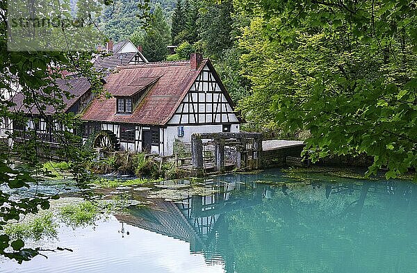 The Blautopf in Blaubeuren  Baden-Württemberg  Germany  Europe