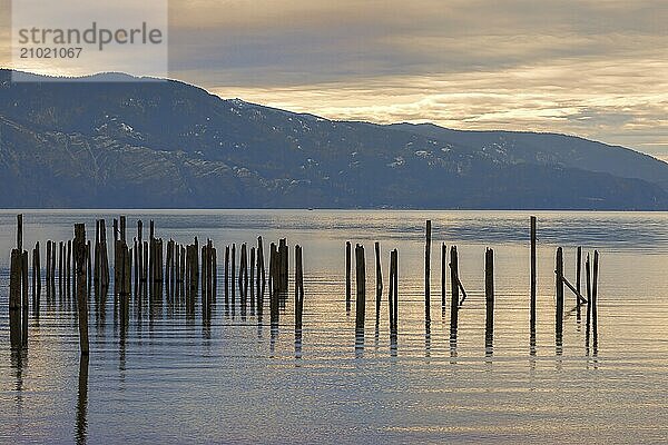 Several wooden posts stand in the calm water of Pend Oreille Lake at Garfield Bay just south of Sandpoint  Idaho