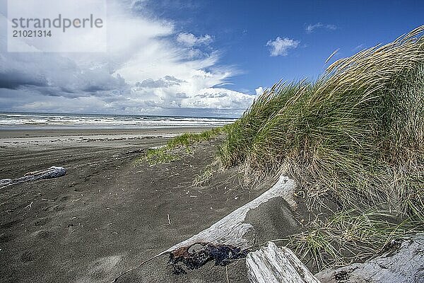 By the jetty at the south end of Ocean Shores  Washington