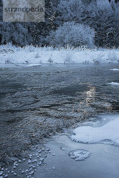 Icy Saale between Bavaria and Thuringia in January