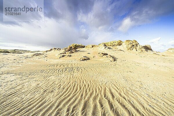 In the dunes of the North Sea island of Rømø