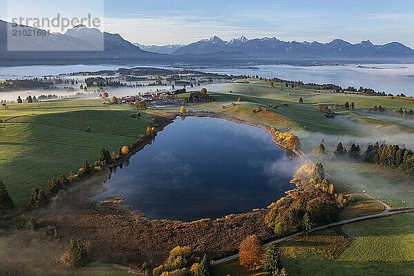 Aerial view of a small lake and autumn-coloured trees in front of mountains in the morning light  Königswinkel  view of Säuling and Ammergebirge  Alpine foothills  Upper Bavaria  Bavaria  Germany  Europe