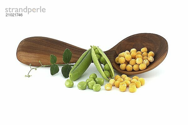 Yellow dried peas whole spilled out from wooden spoon near fresh green peas and pea pods with green leaf isolated on white background