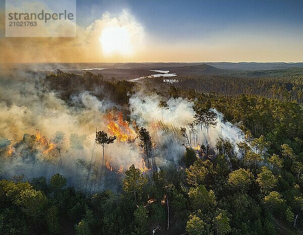 Aerial view of a forest fire at sunset  with thick smoke and flames consuming the trees  AI generated