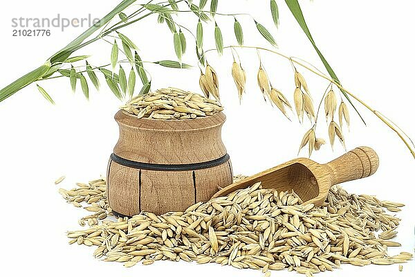 Organic whole oat grain seeds with hulls or husks isolated on a white background. Agriculture  diet and nutrition