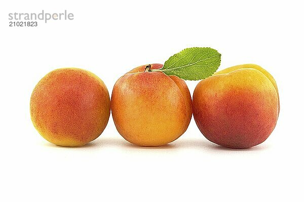 Fresh whole apricot fruits with leaf isolated on white background