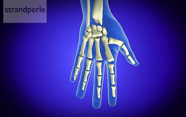 Conceptual image of bones in human hand