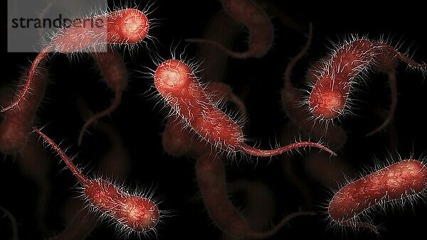 Biomedical illustration of vibrio vulnificus bacteria on black background