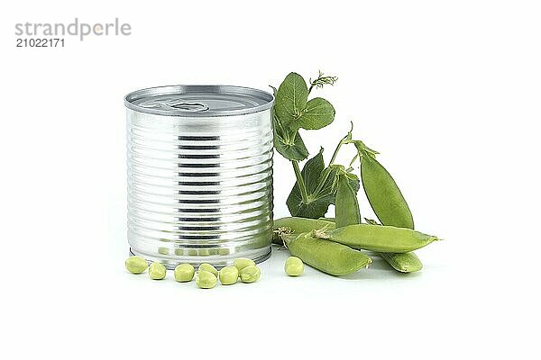 Steel can near fresh garden peas pods with green leaves isolated on a white background  sweet peas or English peas