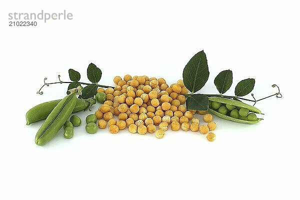 Yellow dried peas surrounded by a green leaf  fresh green peas and pea pods isolated on white background  healthy  plant based diet