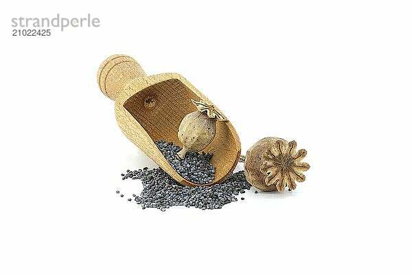 Poppy seed pods and seeds in wooden scoop on white isolated on white background  full depth of field