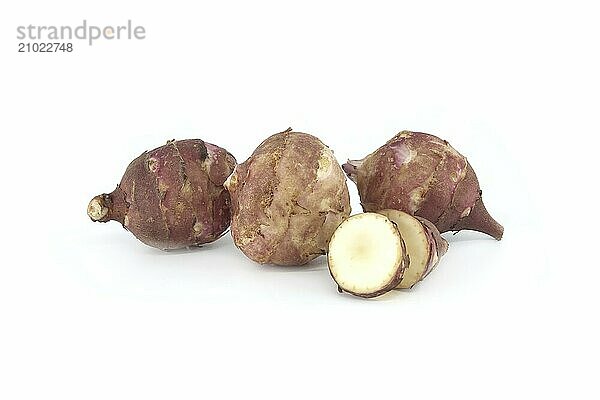 Freshly dug tubers of Jerusalem artichokes isolated on white background. Helianthus tuberosus  topinambur or sunchoke