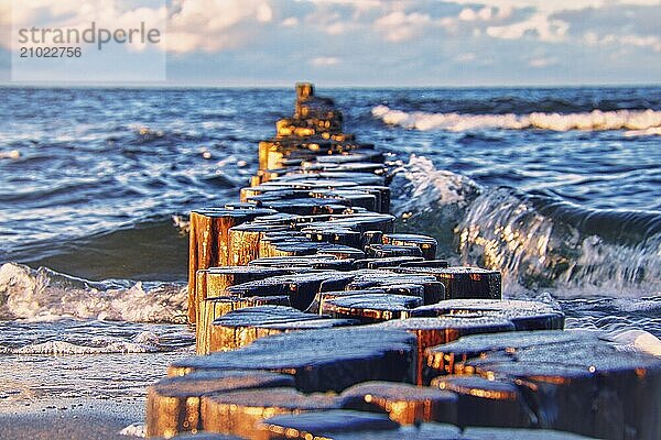 Groynes jutting into the sea. taken in zingst on the darss. the perspective is directed to the horizon