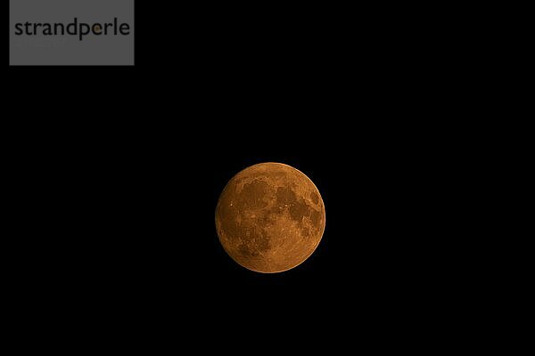 Full super moon red orange in colour in the night sky  Suffolk  England  United Kingdom  Europe