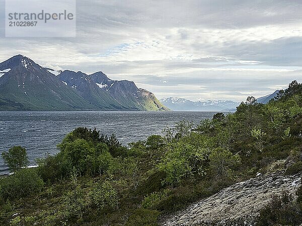 A windy day on the coast of the Vartdalsfjord in Norway