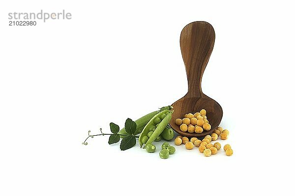 Yellow dried peas whole spilled out from wooden spoon near fresh green peas and pea pods with green leaf isolated on white background