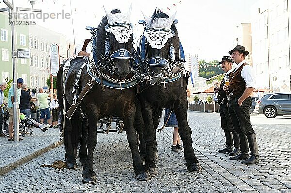 Traditional folk festival in Mühldorf am Inn  Upper Bavaria  Germany  August 30 2024  men in traditional clothing and beer in hand stand next to a brewery wagon  Europe