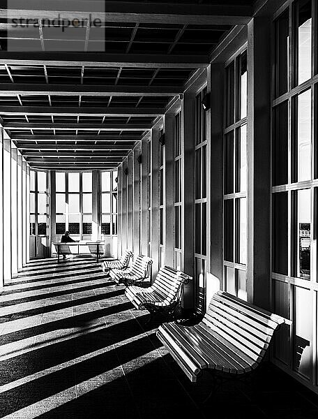 Black and white photograph  benches under a balustrade on the beach of the Baltic Sea  Binz  Rügen  Germany  Europe