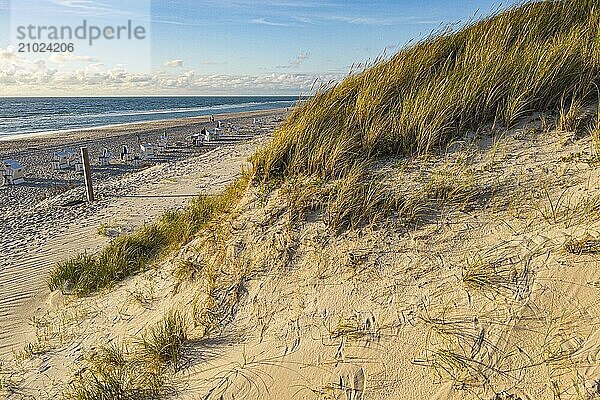 Dune at the Hörnum beach steps  Sylt  Germany  Europe