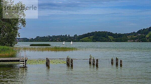 Nature and landscape around Lake Tegernsee  Bavaria  Germany  Europe