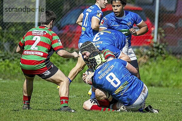 Heidelberg  06.04.2024  Rugby 1st Bundesliga South/West  Season 2023/24  Matchday 10: SC Neuenheim vs RK Heusenstamm (93:7)